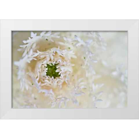 Green Ornamental I White Modern Wood Framed Art Print by Styber, Dana
