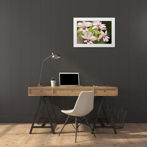 Pink Lips White Modern Wood Framed Art Print by Styber, Dana