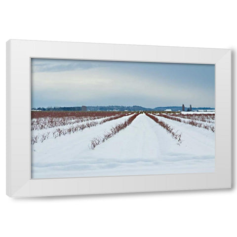 Berries Under Snow I White Modern Wood Framed Art Print by Styber, Dana