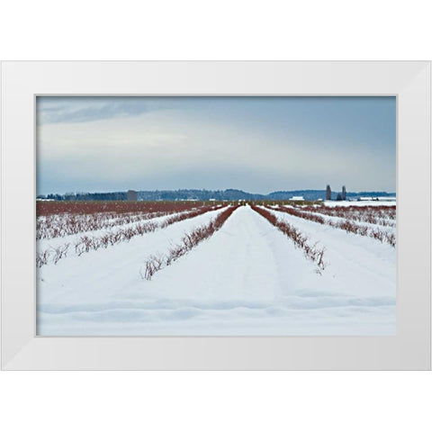 Berries Under Snow I White Modern Wood Framed Art Print by Styber, Dana