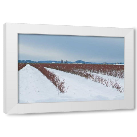 Berries Under Snow II White Modern Wood Framed Art Print by Styber, Dana