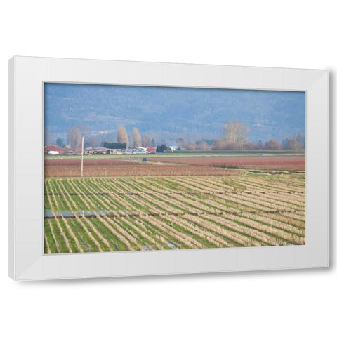 Red and Gold Fields I White Modern Wood Framed Art Print by Styber, Dana