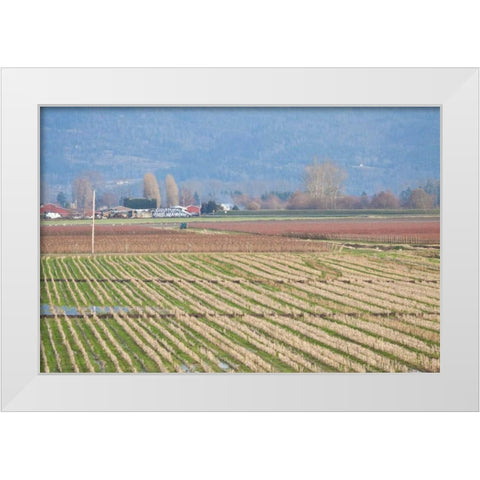 Red and Gold Fields I White Modern Wood Framed Art Print by Styber, Dana
