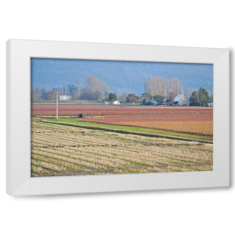 Red and Gold Fields II White Modern Wood Framed Art Print by Styber, Dana