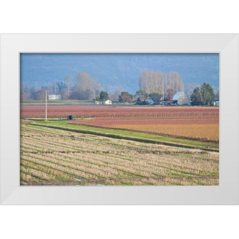 Red and Gold Fields II White Modern Wood Framed Art Print by Styber, Dana