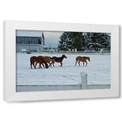 Feeling Spunky White Modern Wood Framed Art Print by Styber, Dana