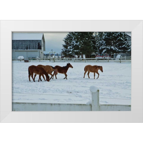 Feeling Spunky White Modern Wood Framed Art Print by Styber, Dana