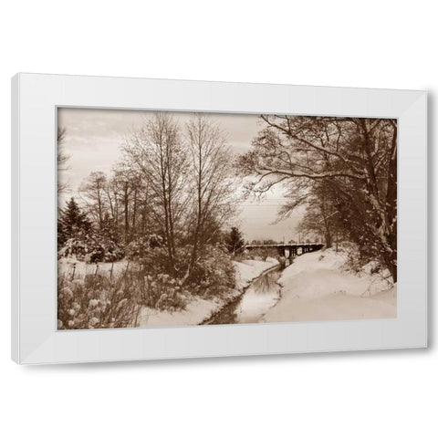 Winter Scenic I White Modern Wood Framed Art Print by Styber, Dana