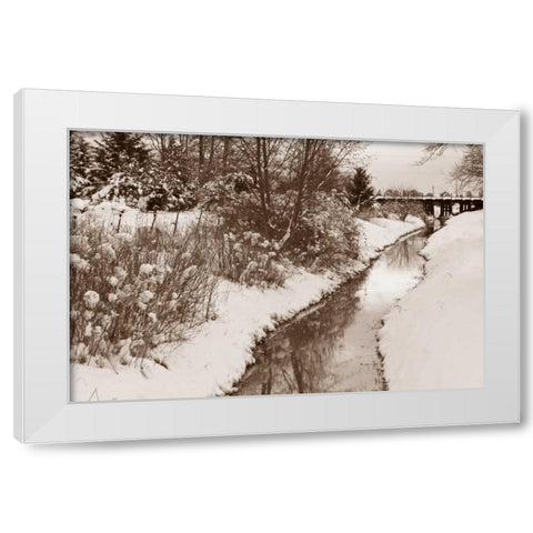 Winter Scenic II White Modern Wood Framed Art Print by Styber, Dana