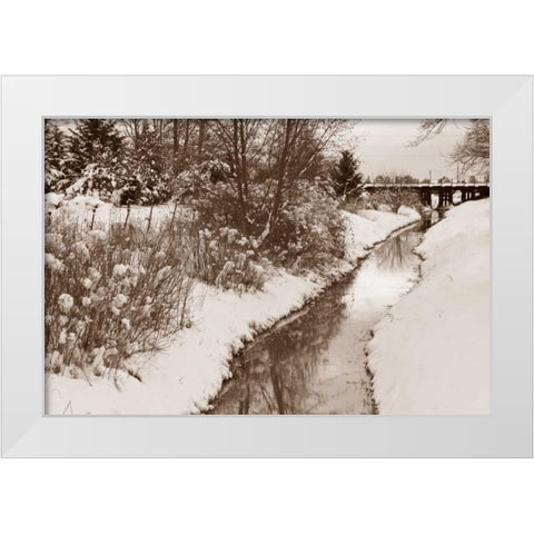 Winter Scenic II White Modern Wood Framed Art Print by Styber, Dana
