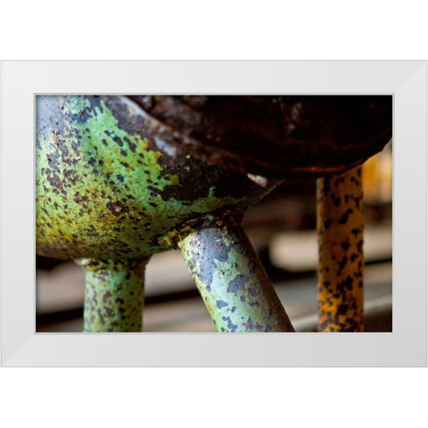 Underbelly White Modern Wood Framed Art Print by Styber, Dana