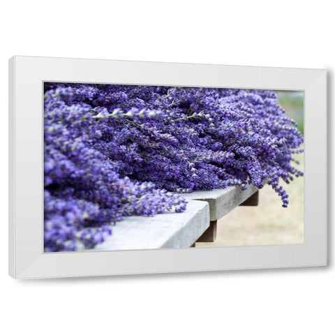 Lavender Harvest I White Modern Wood Framed Art Print by Styber, Dana