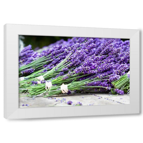 Lavender Harvest II White Modern Wood Framed Art Print by Styber, Dana