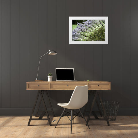 Lavender Bunches II White Modern Wood Framed Art Print by Styber, Dana