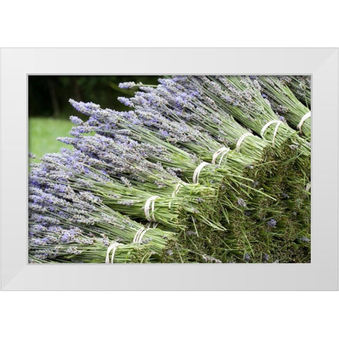 Lavender Bunches II White Modern Wood Framed Art Print by Styber, Dana
