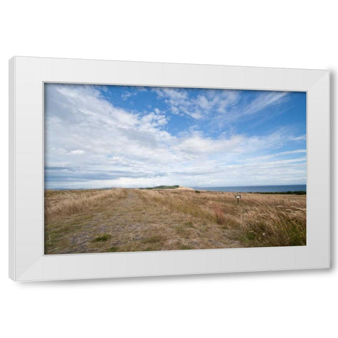Bluff Path White Modern Wood Framed Art Print by Styber, Dana