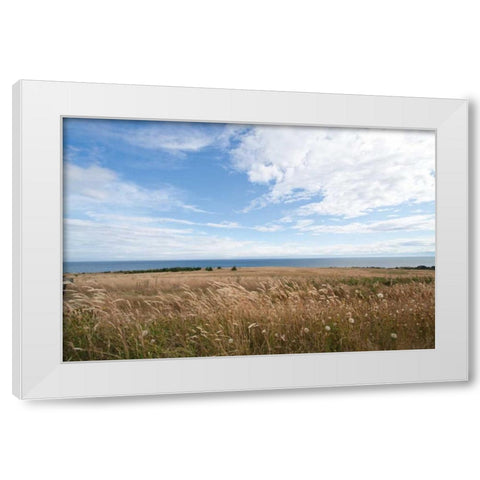 Bluff View White Modern Wood Framed Art Print by Styber, Dana