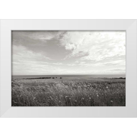Bluff View White Modern Wood Framed Art Print by Styber, Dana