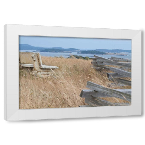 Grassy Knoll White Modern Wood Framed Art Print by Styber, Dana