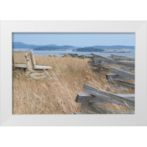 Grassy Knoll White Modern Wood Framed Art Print by Styber, Dana