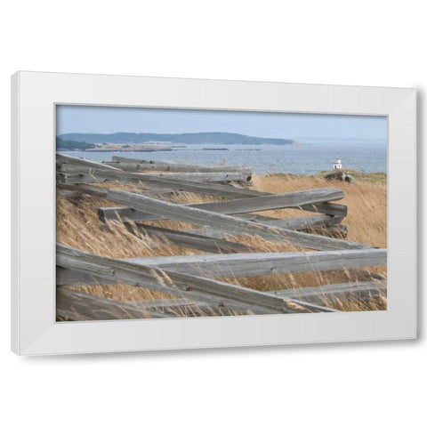Lighthouse Path White Modern Wood Framed Art Print by Styber, Dana