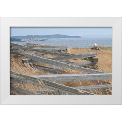 Lighthouse Path White Modern Wood Framed Art Print by Styber, Dana