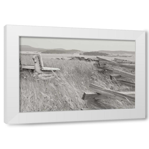 Grassy Knoll White Modern Wood Framed Art Print by Styber, Dana