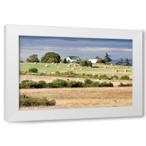 Hay Rolls I White Modern Wood Framed Art Print by Styber, Dana