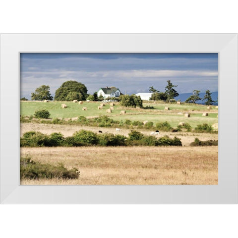 Hay Rolls I White Modern Wood Framed Art Print by Styber, Dana