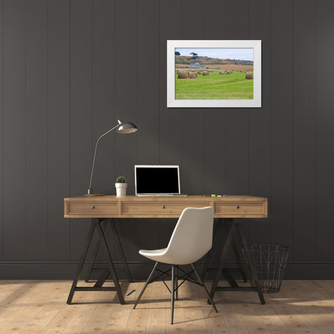 Hay Rolls II White Modern Wood Framed Art Print by Styber, Dana