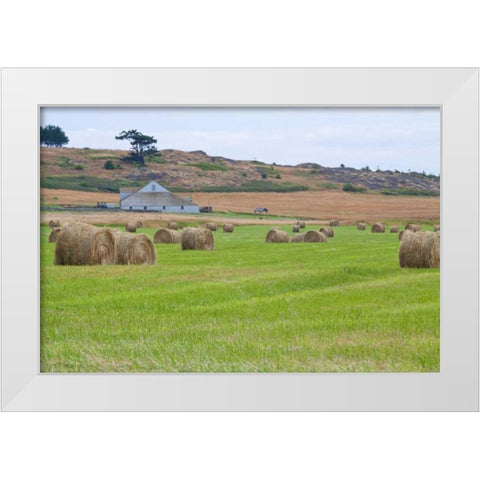 Hay Rolls II White Modern Wood Framed Art Print by Styber, Dana
