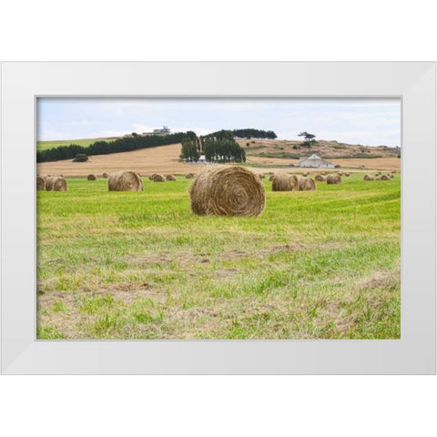 Hay Rolls III White Modern Wood Framed Art Print by Styber, Dana