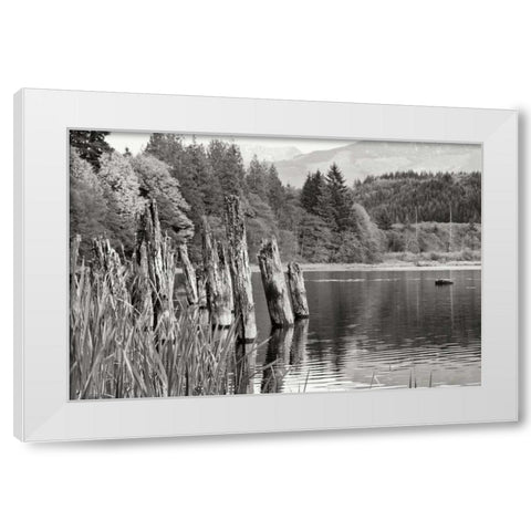Baker Lake Pilings White Modern Wood Framed Art Print by Styber, Dana