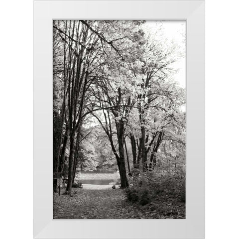 Baker Lake Trail I White Modern Wood Framed Art Print by Styber, Dana