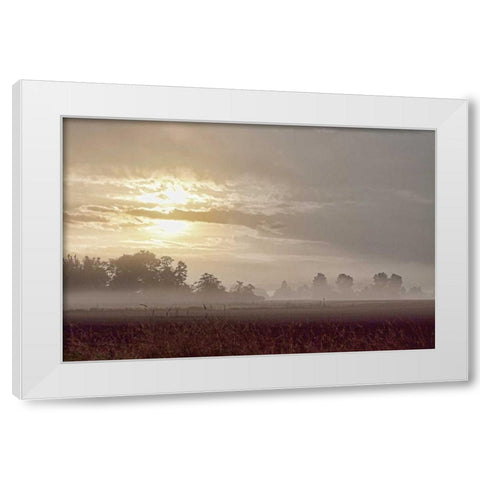 Foggy Morning I White Modern Wood Framed Art Print by Styber, Dana
