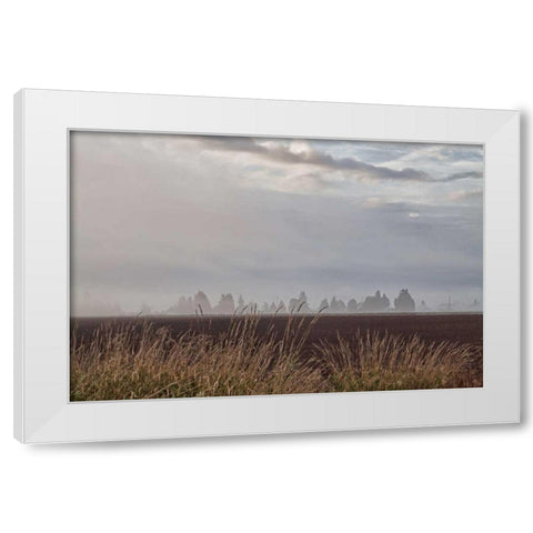 Foggy Morning II White Modern Wood Framed Art Print by Styber, Dana
