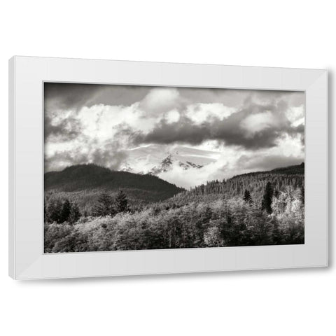 Mount Baker Exposed White Modern Wood Framed Art Print by Styber, Dana