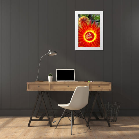 Cactus Flower VI White Modern Wood Framed Art Print by Taylor, Douglas