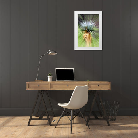 Mountain Yucca White Modern Wood Framed Art Print by Taylor, Douglas