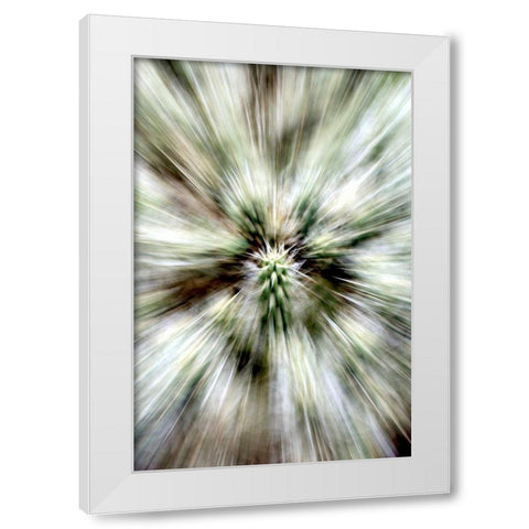 Cactus Spines White Modern Wood Framed Art Print by Taylor, Douglas
