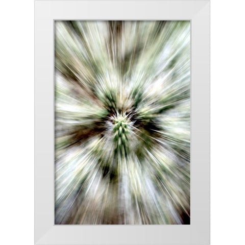 Cactus Spines White Modern Wood Framed Art Print by Taylor, Douglas