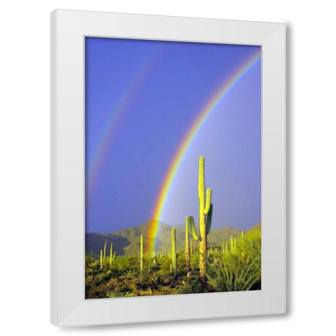 Saguaro Rainbow I White Modern Wood Framed Art Print by Taylor, Douglas