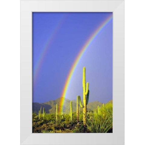 Saguaro Rainbow I White Modern Wood Framed Art Print by Taylor, Douglas