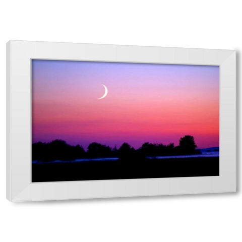 Crescent at Twilight White Modern Wood Framed Art Print by Taylor, Douglas