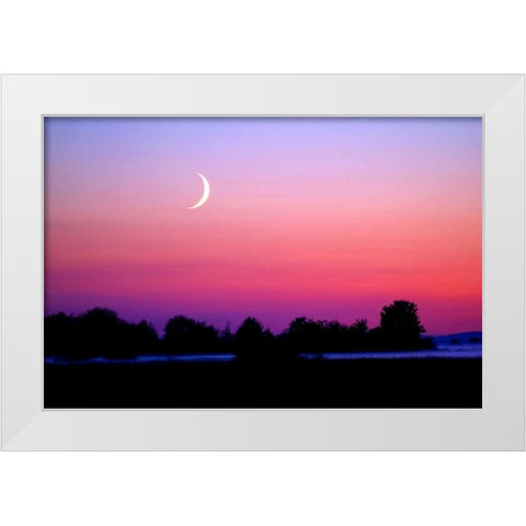 Crescent at Twilight White Modern Wood Framed Art Print by Taylor, Douglas