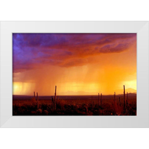 Evening Rain White Modern Wood Framed Art Print by Taylor, Douglas