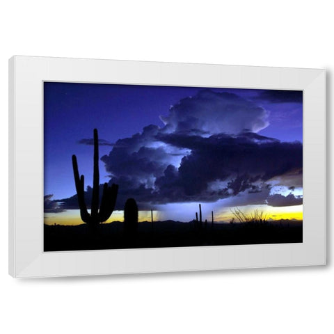 Blue Thunder White Modern Wood Framed Art Print by Taylor, Douglas