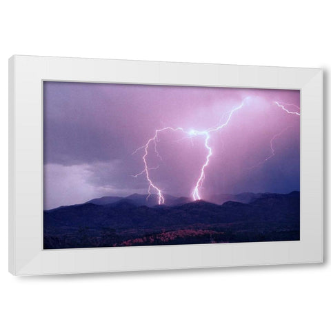 Striking Symmetry I White Modern Wood Framed Art Print by Taylor, Douglas