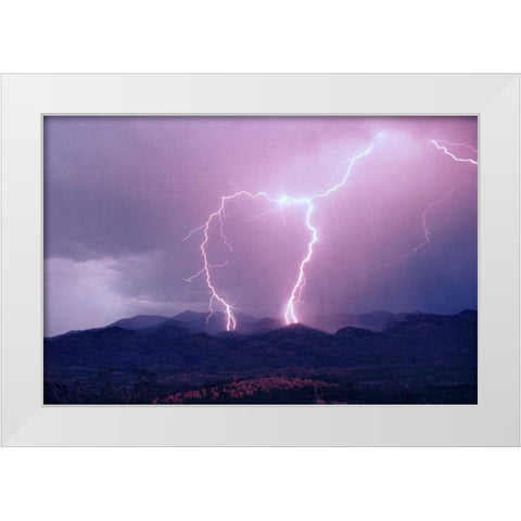 Striking Symmetry I White Modern Wood Framed Art Print by Taylor, Douglas