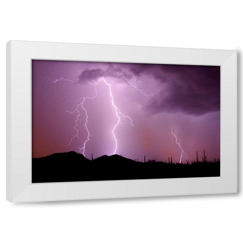 Striking Symmetry II White Modern Wood Framed Art Print by Taylor, Douglas